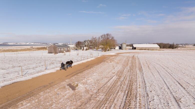 A harness racing horse training out in a wintry rural farm field 