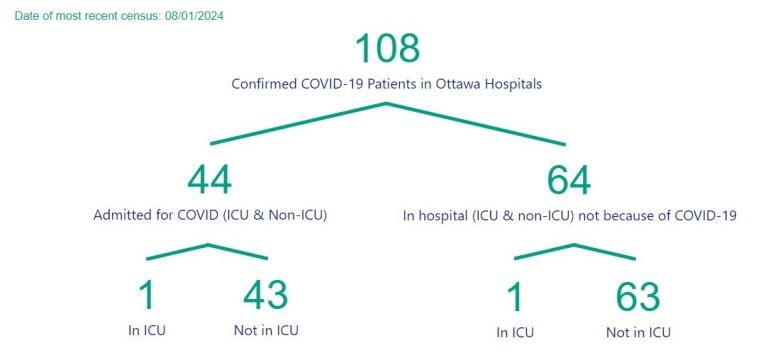 A chart showing the number of people in Ottawa hospitals with COVID.