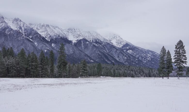 Pictured is part of the Steeples Mountain range, which is part of the Canadian Rockies, in December, 2023. 