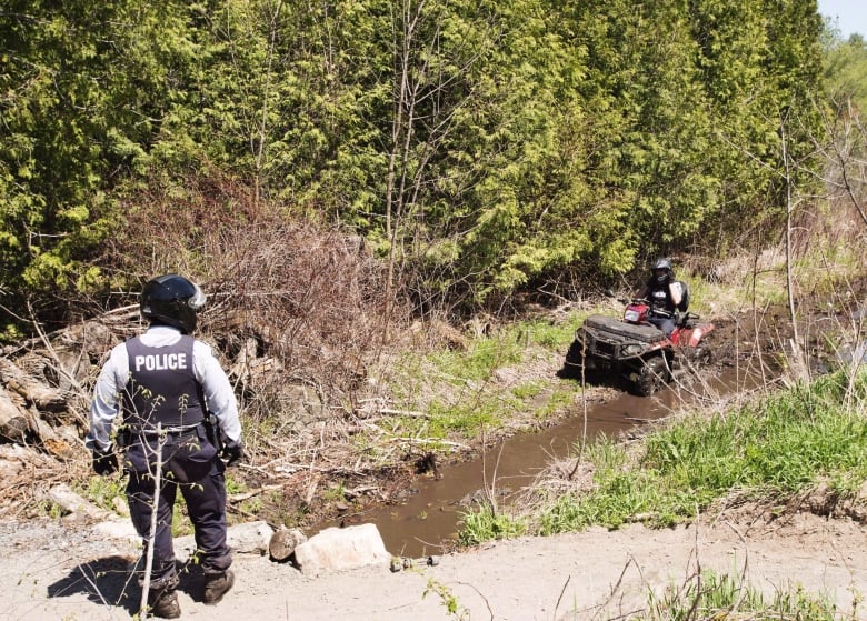 RCMP officers patrol a wooded area.