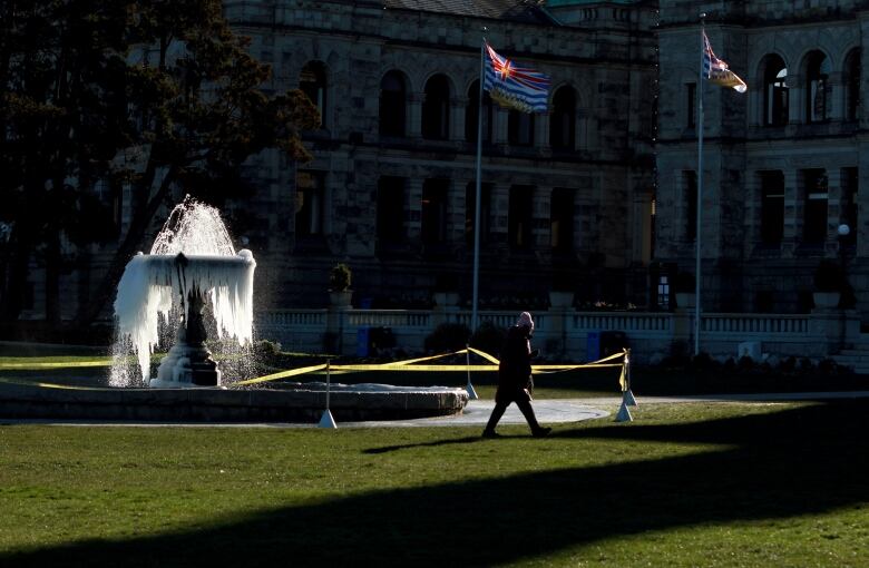 A person walks past a frozen fountain in front of a large legislature building, with two flags behind them.