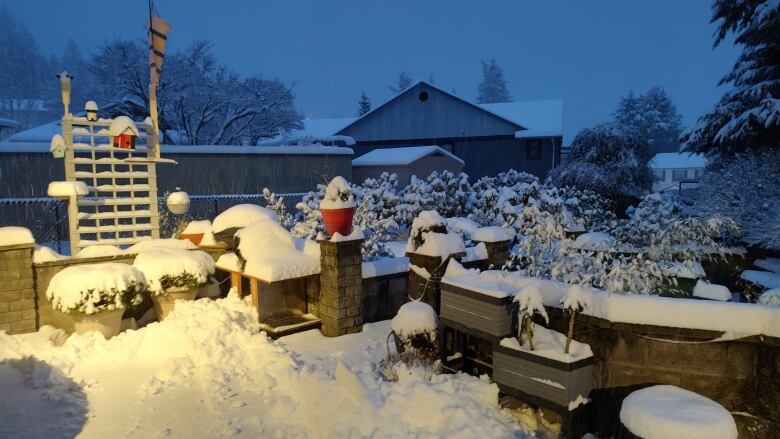 A snowy backyard.