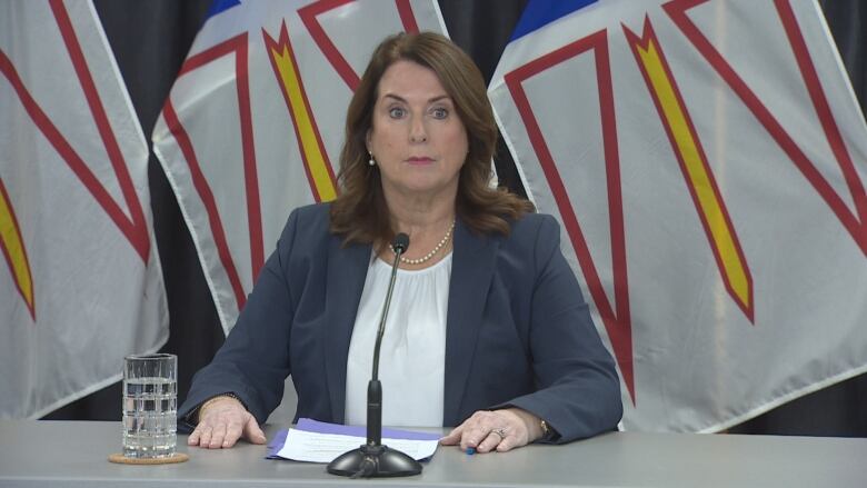 A woman with long brown hair wearing formal clothes sits at a desk. There are flags of Newfoundland and Labrador draped behind her.