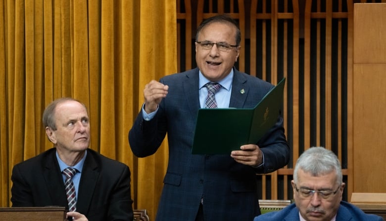 A man holding a green folder speaks in the House of Commons.