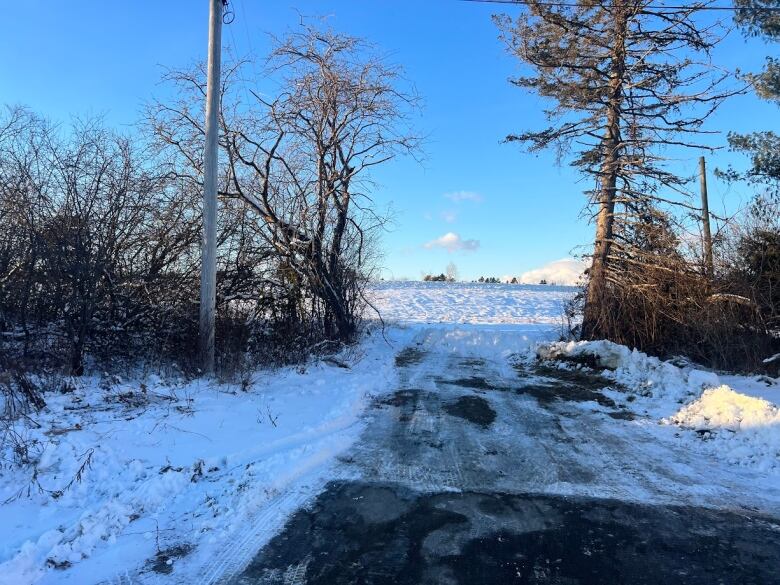 A field at the end of a road