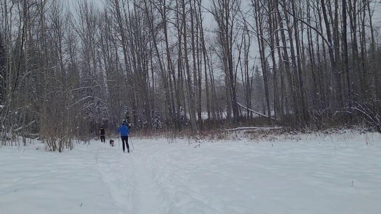 Two skiers and a dog in the snow.