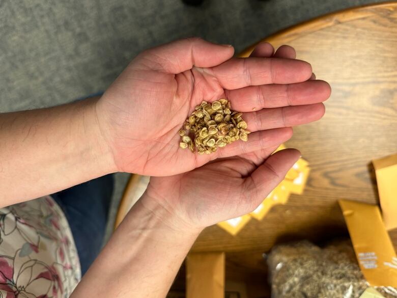 A hand holding a bunch of seeds.