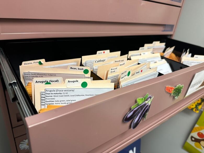 Folders and envelopes are seen in an open drawer of a filing cabinet.