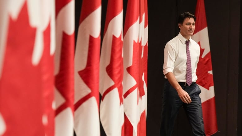 A man in a shirt and tie walks passed a row of Canadian flags.