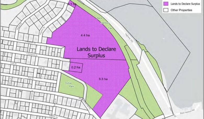 A street map shows a large swath of land in purple on the top of the hill between street grid and the Back Harbour