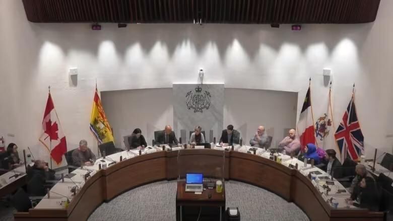 A screenshot of councillors sitting in council chambers