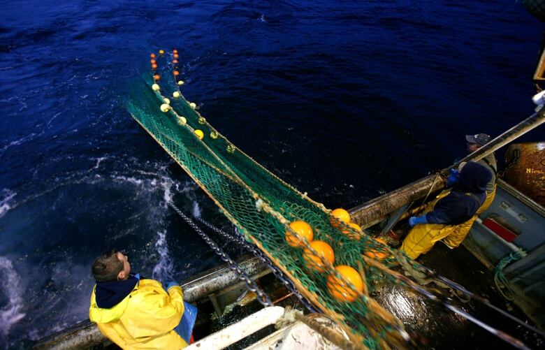 Men raise a fishing net from the water.