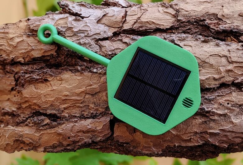 A small, green plastic sensor with solar panels sits on a tree.