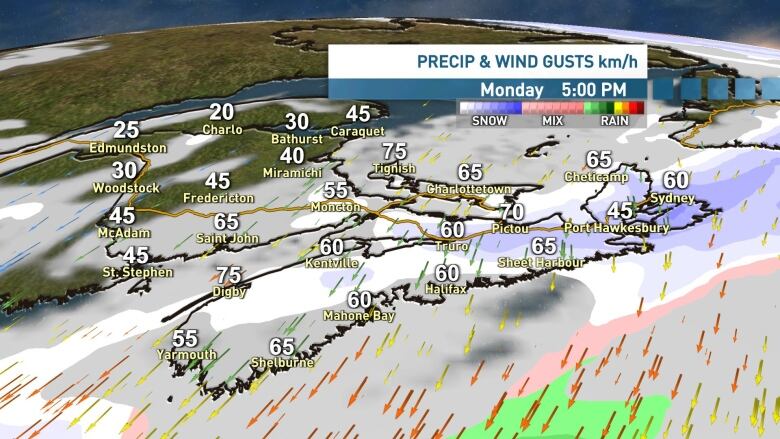 A graphic shows Nova Scotia and numbers indicating wind gusts.