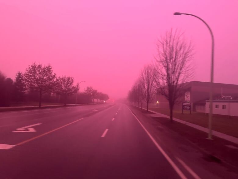 A city street shrouded in a pink hue.