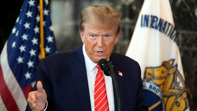 A person gestures while speaking into a microphone and in front of flags.