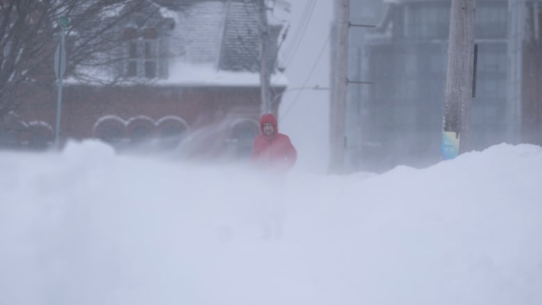 A pedestrian makes their way through blowing snow in Halifax.