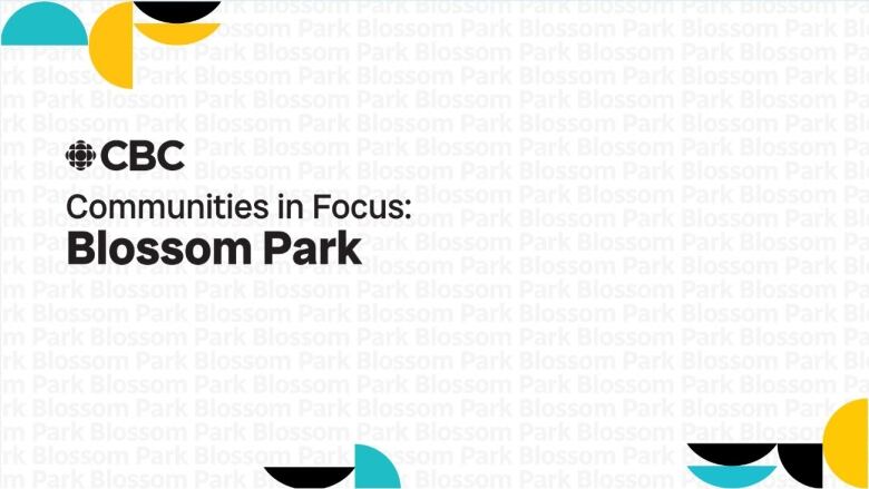 Communities in Focus