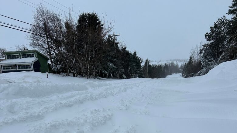 snow covers a tree lined road