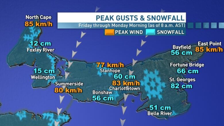 This map shows how snowy and windy it's been in various parts of Prince Edward Island since Friday afternoon. 