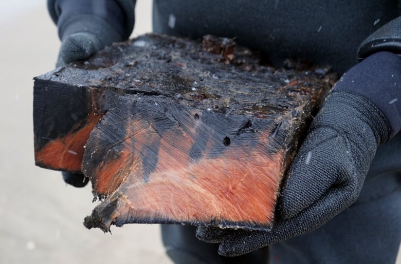 A closeup of a chunk of wood.