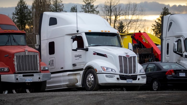 Chohan Freight Forwarders trucks have been parked in the company's lot since a suspension that followed an overpass crash on Dec. 28. The company wants a judge to lift the suspension.