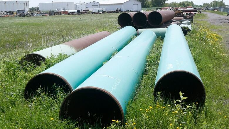 Oil pipelines are seen lying next to a gravel road.