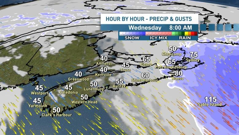 A diagram showing the estimated precipitation and wind gusts for Feb 14 at 8 am