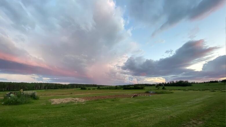 Grass and a garden in the foreground with blue sky and big clouds visible.