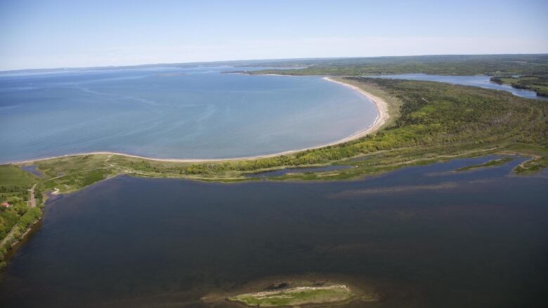 An aerial shot of a sandy beach with a curved shoreline