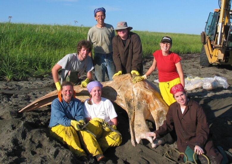 A group of students on a beach in the middle of conducting scientific work in the summer. 