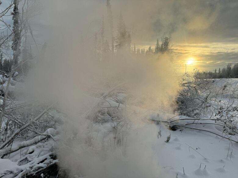 Smoke rises from the snow in a forested area.  