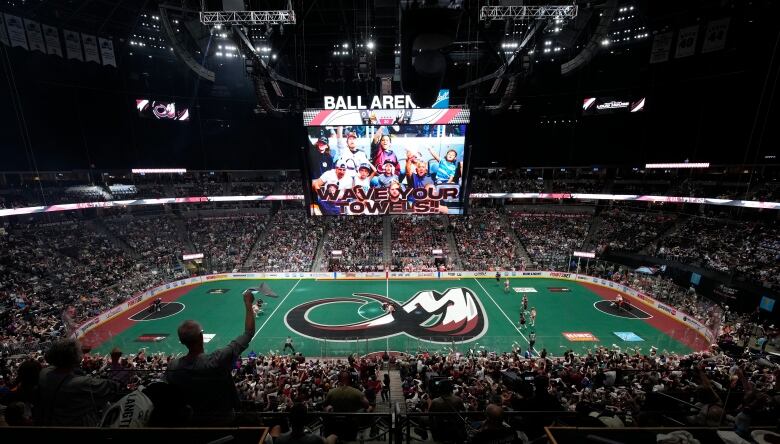 A box lacrosse game, with green turf inside hockey boards.