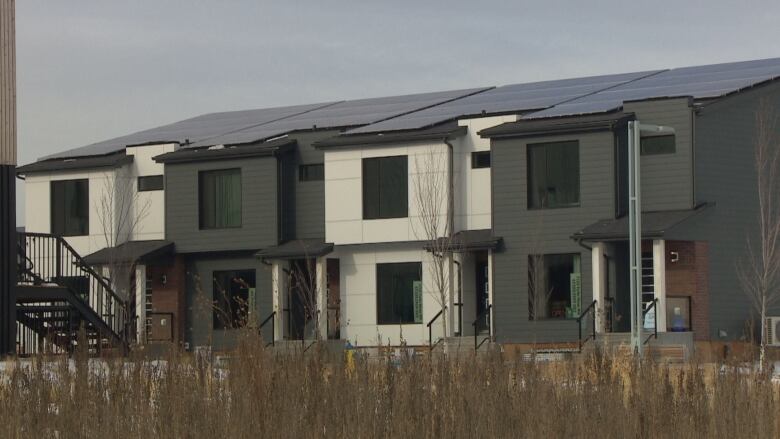 Grass is in the foreground and homes with solar panels are seen in the background.