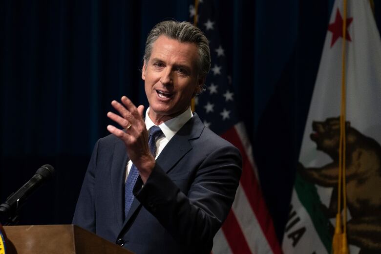 California Gov. Gavin Newsom discusses his proposed state budget for the 2024-2025 fiscal year, during a news conference in Sacramento,Calif., Wednesday, Jan. 10, 2024. (AP Photo/Rich Pedroncelli)