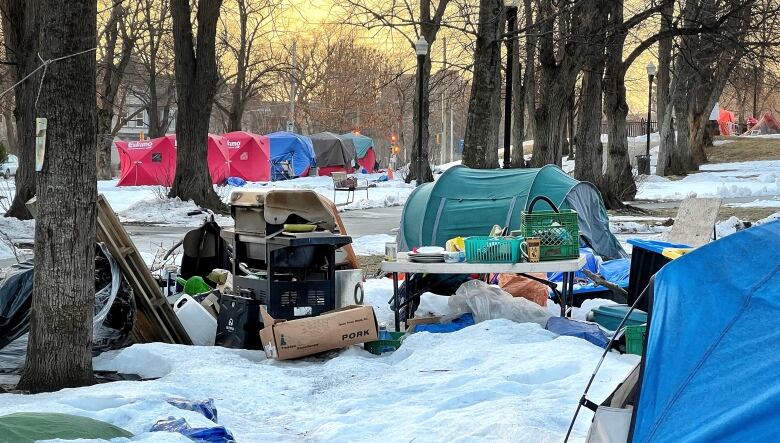 Tents are shown in a snowy park, amid a number of tall trees.