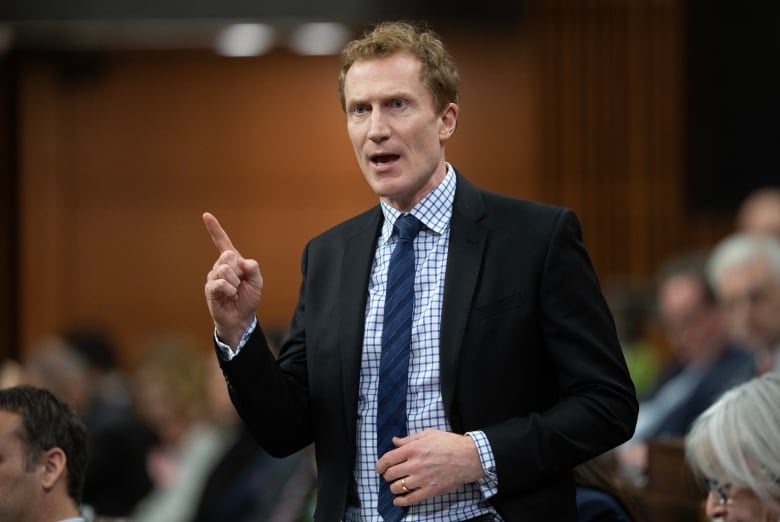 A politician stands to speak in Canadian parliament.