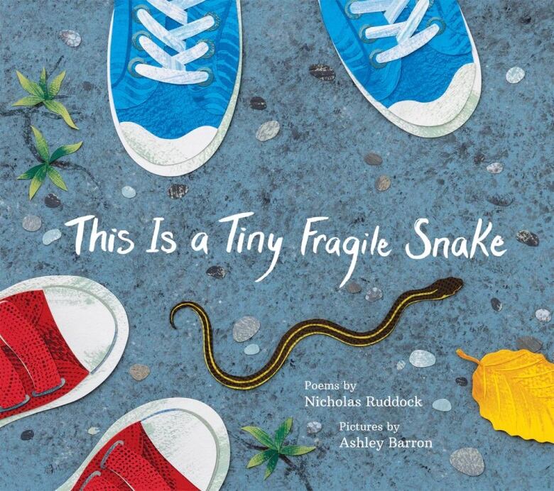 The book cover with an illustration of a small snake in between 2 pairs of shoes, one blue and one red.