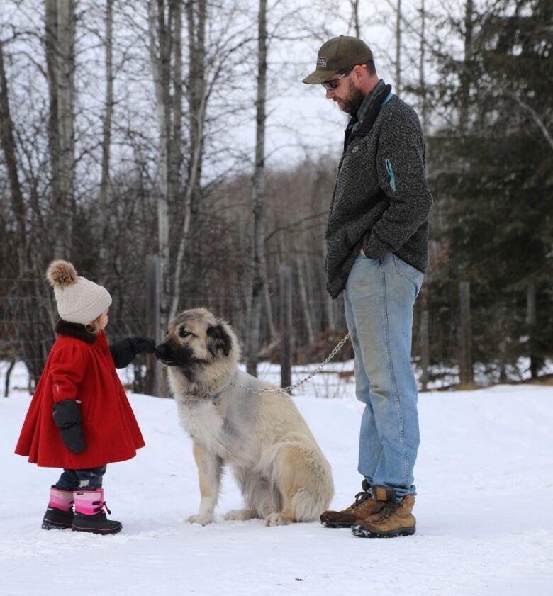 A small girl in a red coat pets a dog with three legs, while a man stands beside them