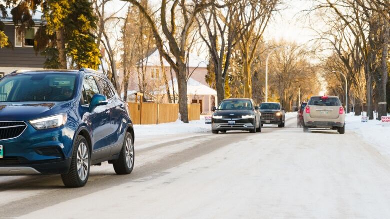 A photo shows cars driving down a tree-lined street in winter.