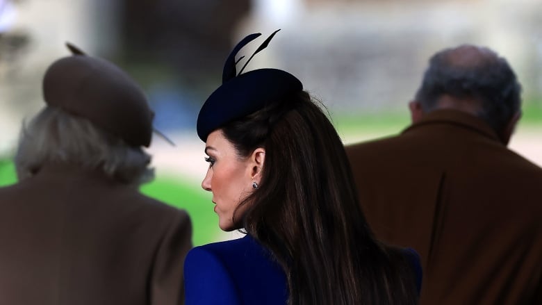 A profile photo of a woman in  a bright blue suit, with long brown hair. In the background, the heads of two people with greyish hair.