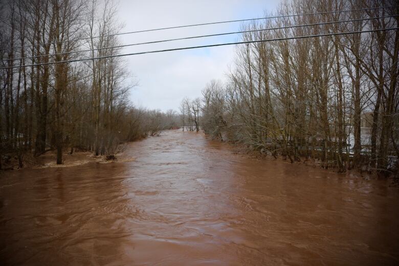 A flooded, muddy river 