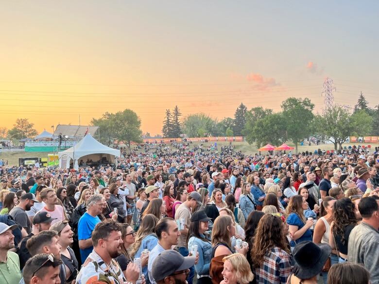 Attendees watching a performance last year at Victoria Park.