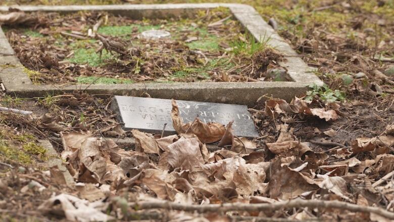 A small pet grave is covered in leaves with its headstone askew