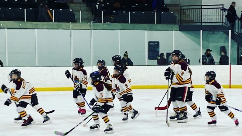 Young hockey players skate on the ice.