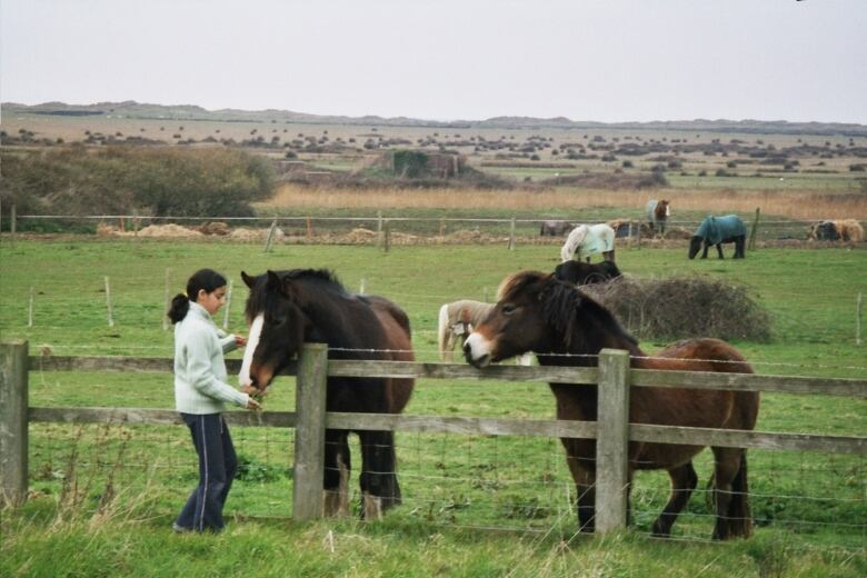 A young girl feeds a horse.