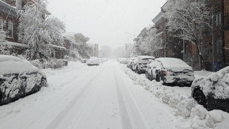 Cars covered in snow on street. 