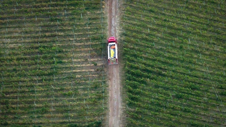 An overhead shot of a fire truck driving through a green field.