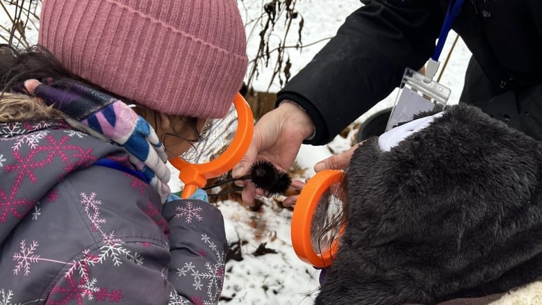 Children look through magnifying glasses