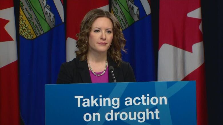 A woman stands in front of a podium.